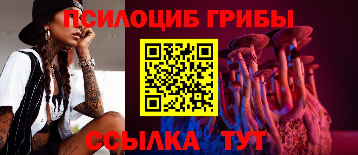 Кольчугино  Галлюциногенные грибы Magic Shrooms  закладка  Вход с VPN 