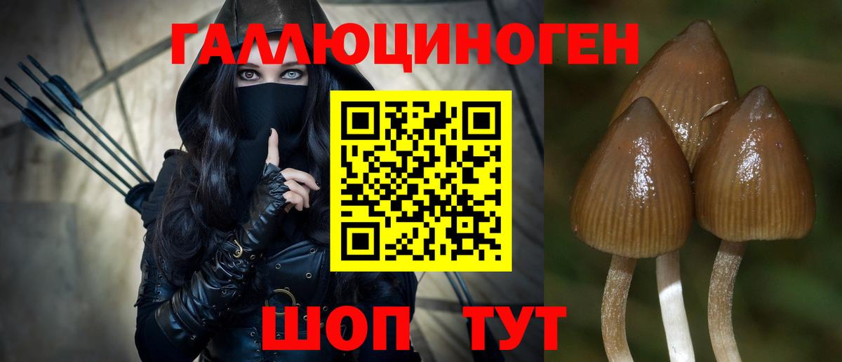 Галлюциногенные грибы мухоморы Кольчугино